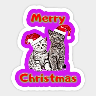 Cats Lovers christmas gift, christmas decorations Sticker